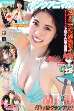 电视剧尚食一共多少集