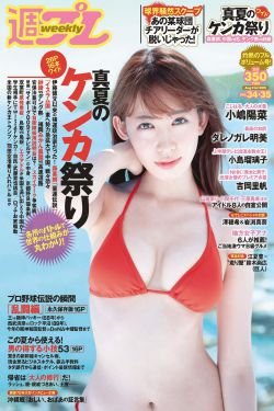 菊花综合