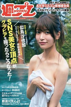 猫狗大战2