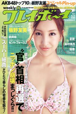 翡翠岛系列
