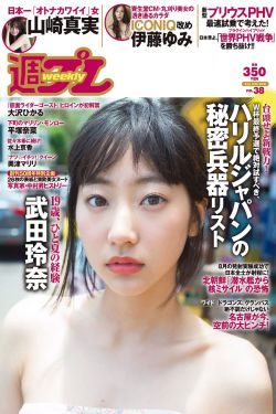 《武工队传奇电视剧》