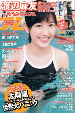 新红楼梦演员