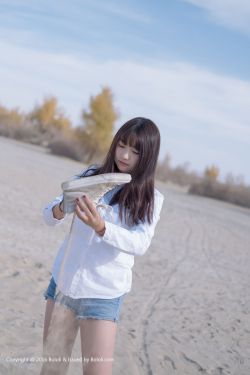 《埋伏电视连续剧》