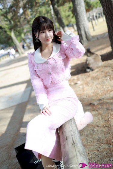 黄飞鸿2