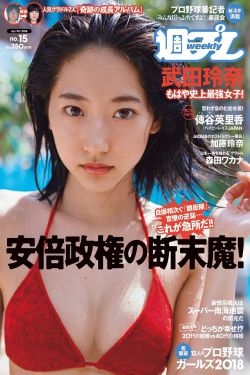 乐比悠悠系列之动物自然