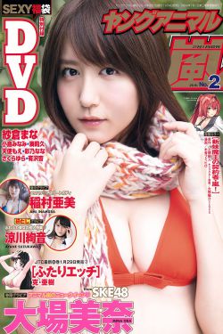 金钱之味完整版 国语版