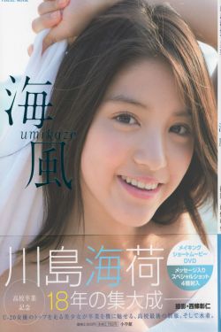 金蝉脱壳2
