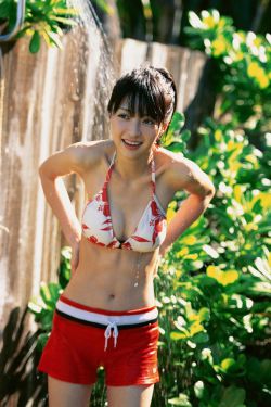 东奔西顾